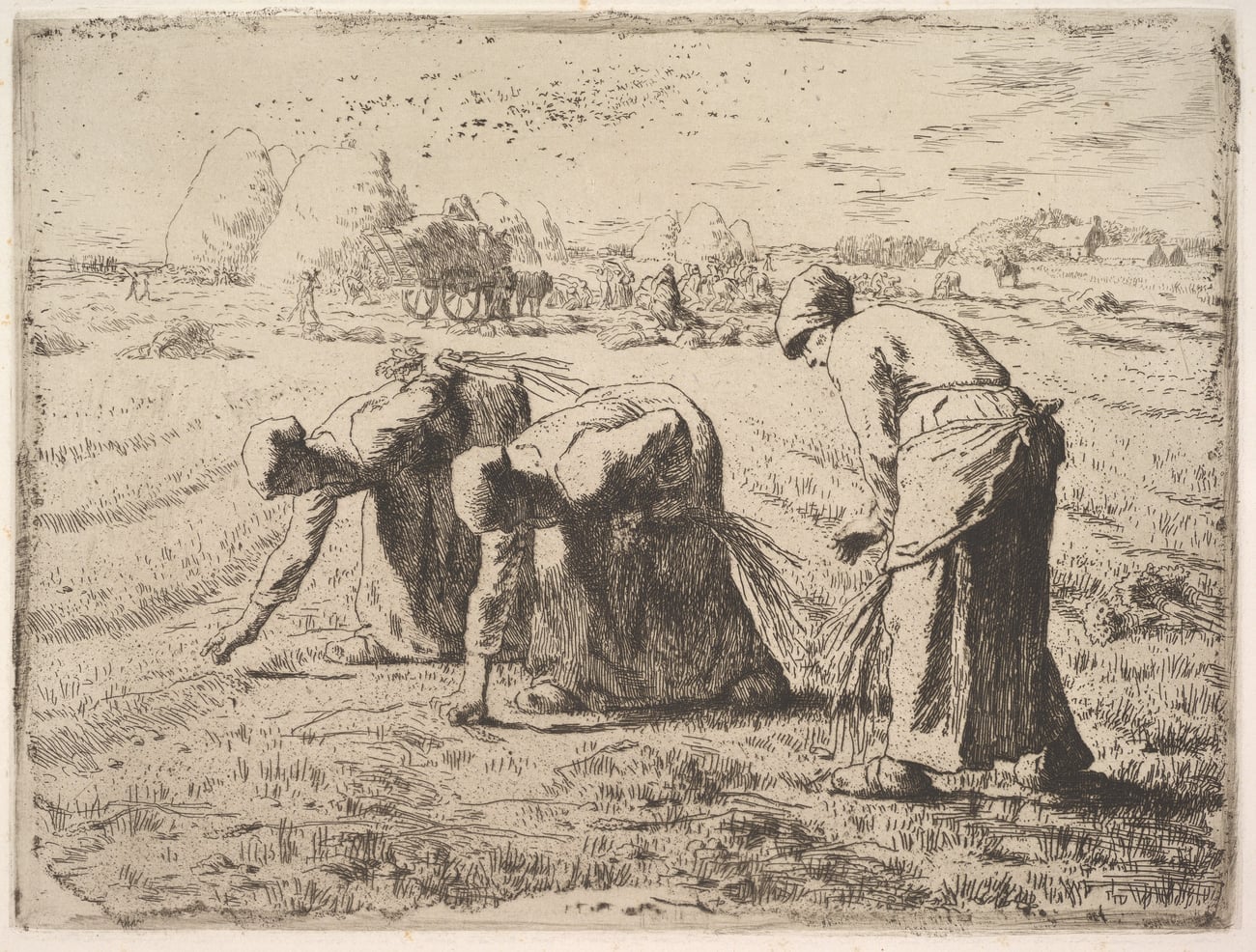 The Gleaners